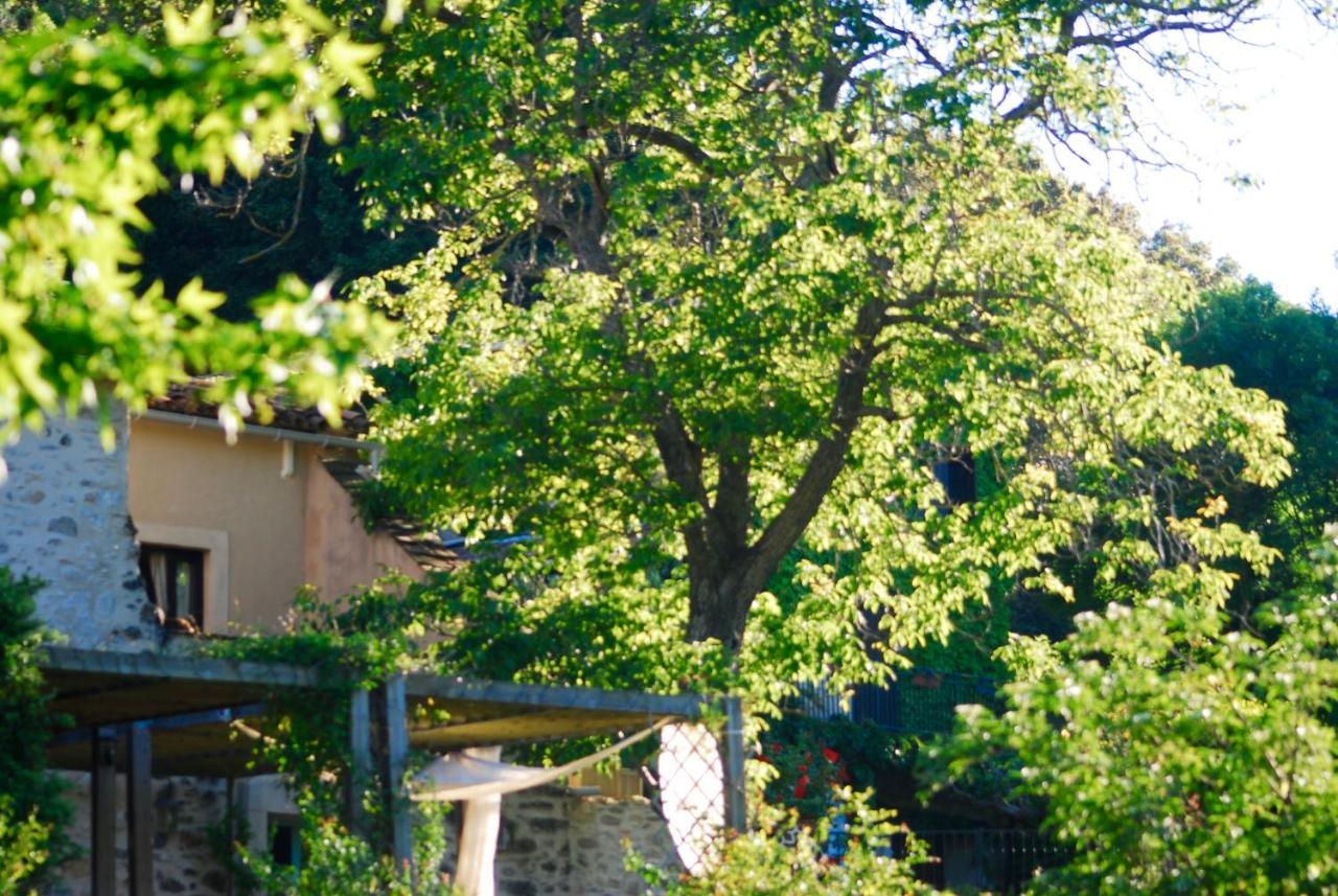 Le Moulin D'Arcas. Acomodação com café da manhã Prémian Exterior foto
